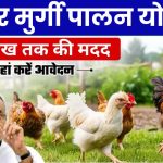 Bihar Poultry Farm Yojana 2024: मुर्गी पालन योजना में सरकार दे रही है मुर्गी फॉर्म पर 3 से 40 लाख अनुदान