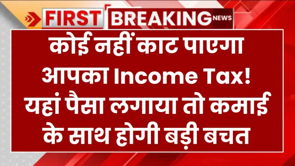 कोई नहीं काट पाएगा आपका Income Tax! यहां पैसा लगाया तो कमाई के साथ होगी बड़ी बचत