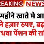 Pension News: लो जी अब हर महीने खाते मे आयेंगे इतने हज़ार रुपए, बढ़ गई विधवा पेंशन की राशि